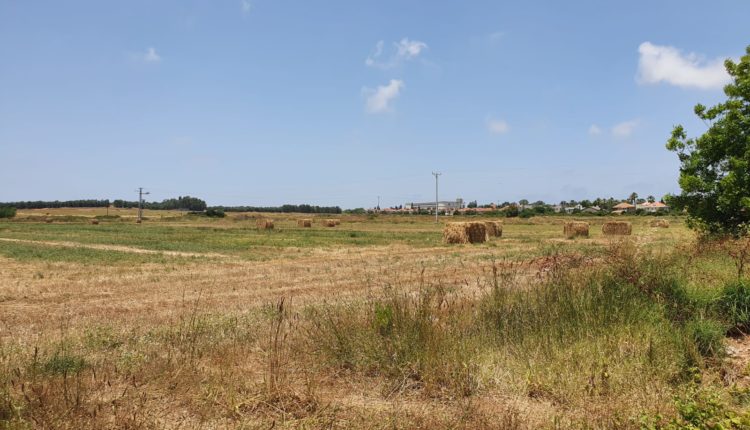 שכונת ההדרים בנימינה - יוצאת לדרך